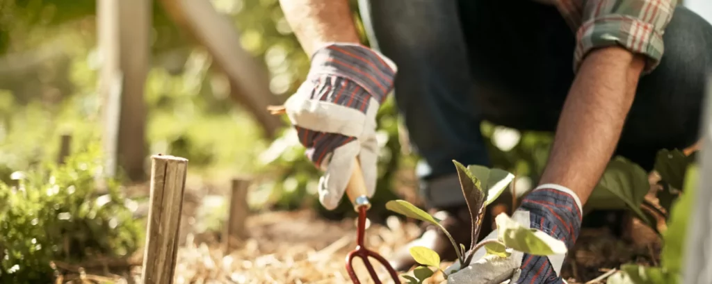 Ein Mann gärtnert im Beet